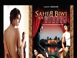 Sahib Biwi Aur Gulam Hindi Dirty Audio